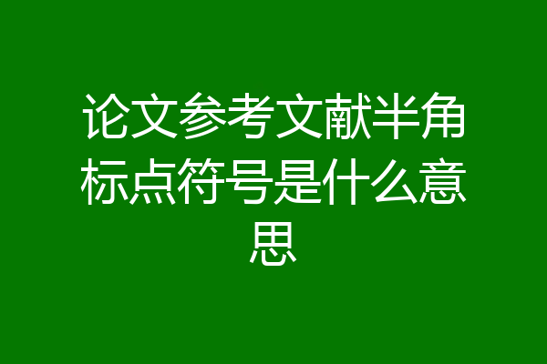 论文参考文献半角标点符号是什么意思