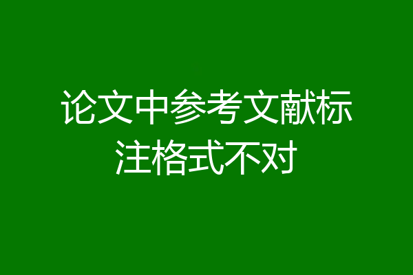 论文中参考文献标注格式不对