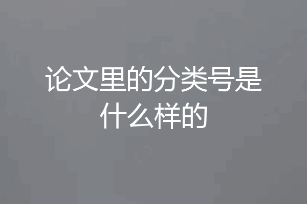 论文里的分类号是什么样的
