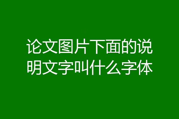 论文图片下面的说明文字叫什么字体