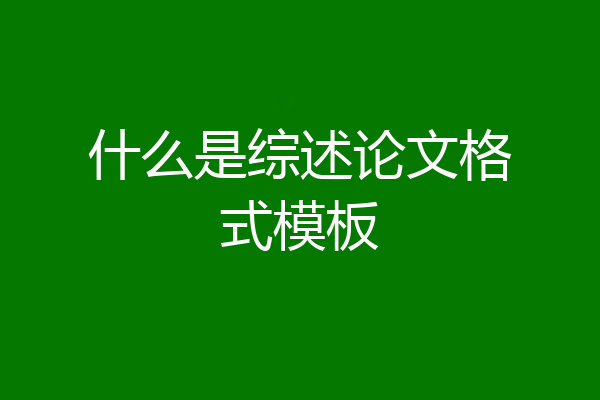 什么是综述论文格式模板