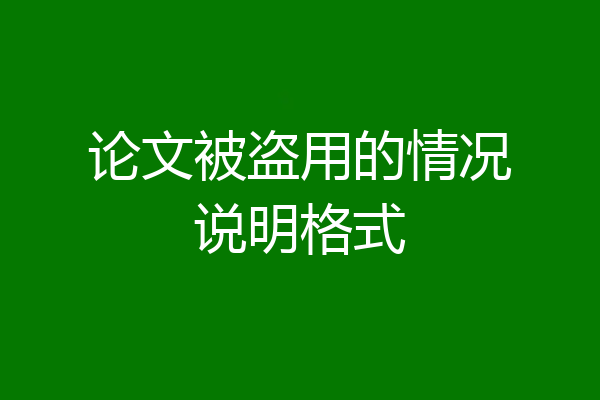 论文被盗用的情况说明格式