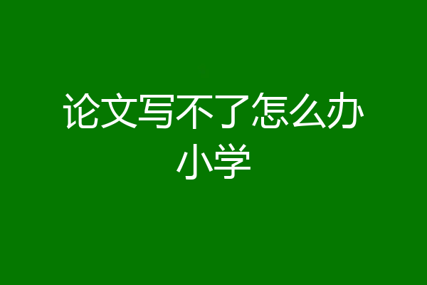 论文写不了怎么办小学