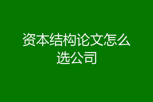 资本结构论文怎么选公司