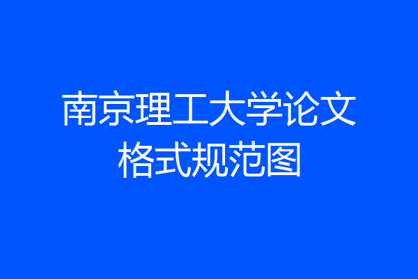 南京理工大学论文格式规范图