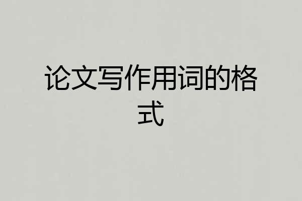 论文写作用词的格式