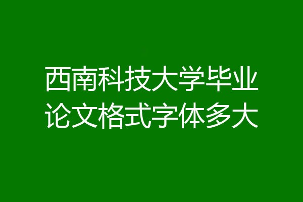 西南科技大学毕业论文格式字体多大