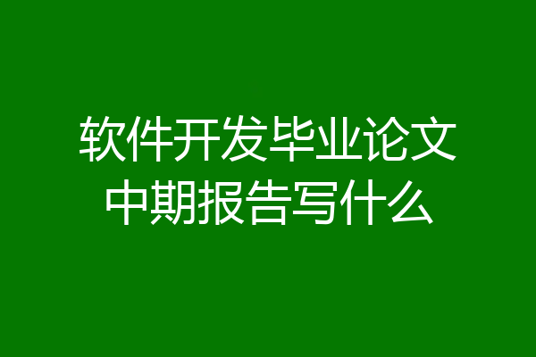 软件开发毕业论文中期报告写什么