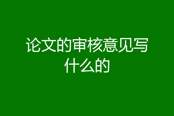 论文的审核意见写什么的
