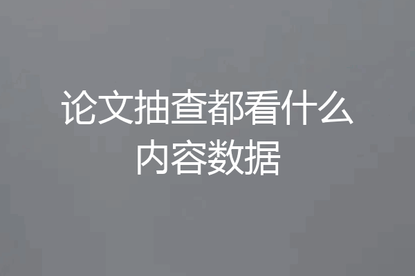 论文抽查都看什么内容数据
