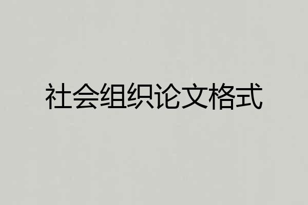 社会组织论文格式