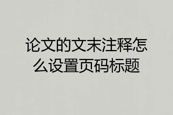 论文的文末注释怎么设置页码标题