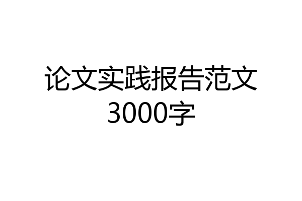 论文实践报告范文3000字