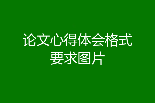 论文心得体会格式要求图片