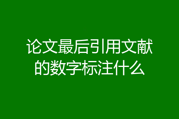 论文最后引用文献的数字标注什么