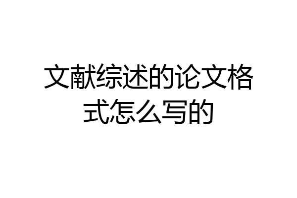 文献综述的论文格式怎么写的