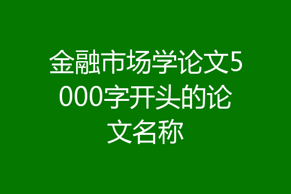 金融市场学论文5000字开头的论文名称