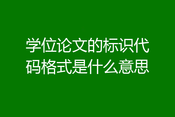 学位论文的标识代码格式是什么意思