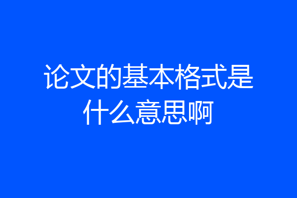 论文的基本格式是什么意思啊
