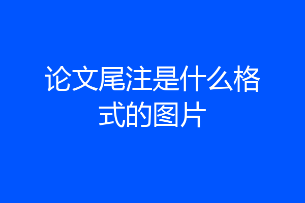 论文尾注是什么格式的图片