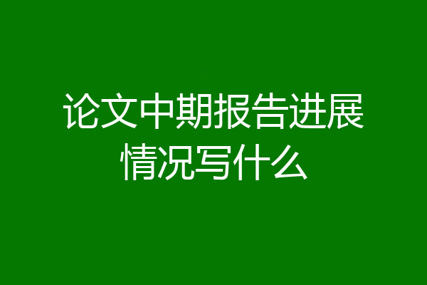 论文中期报告进展情况写什么