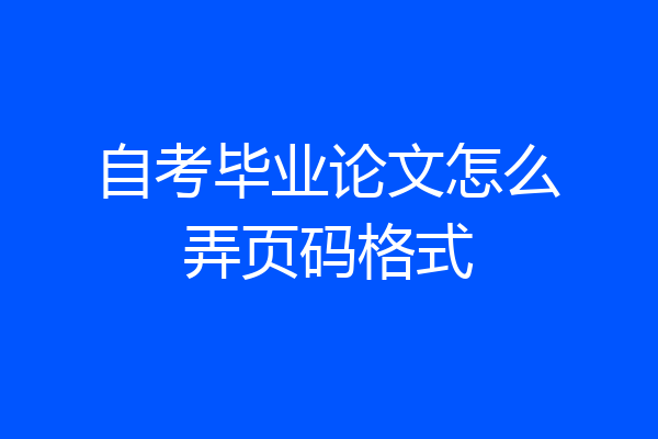 自考毕业论文怎么弄页码格式