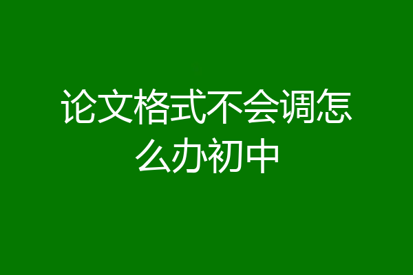 论文格式不会调怎么办初中