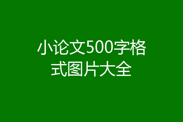 小论文500字格式图片大全