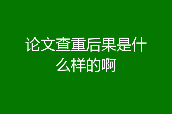 论文查重后果是什么样的啊