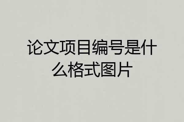 论文项目编号是什么格式图片