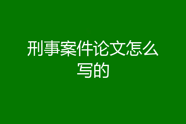 刑事案件论文怎么写的
