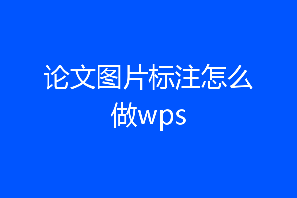 论文图片标注怎么做wps