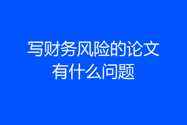 写财务风险的论文有什么问题