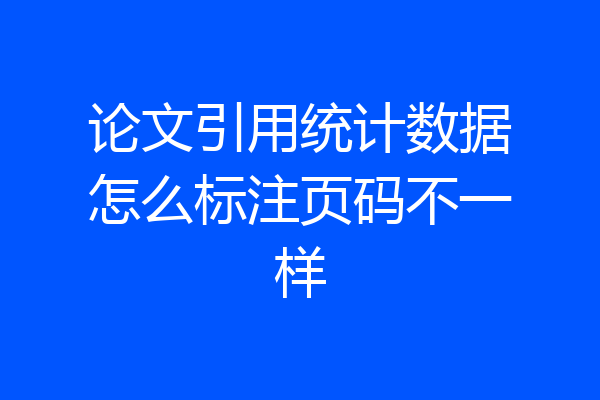 论文引用统计数据怎么标注页码不一样