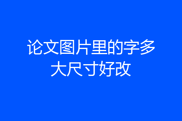 论文图片里的字多大尺寸好改