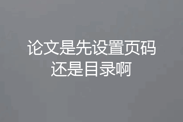 论文是先设置页码还是目录啊