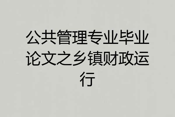 公共管理专业毕业论文之乡镇财政运行