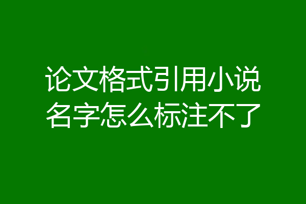 论文格式引用小说名字怎么标注不了