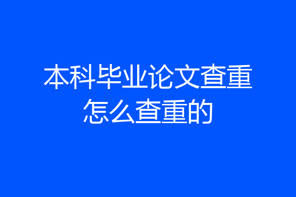 本科毕业论文查重怎么查重的