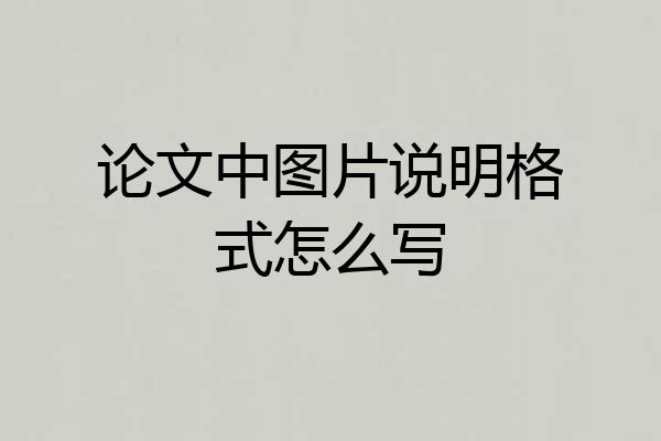 论文中图片说明格式怎么写