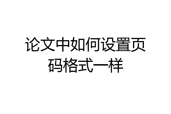 论文中如何设置页码格式一样