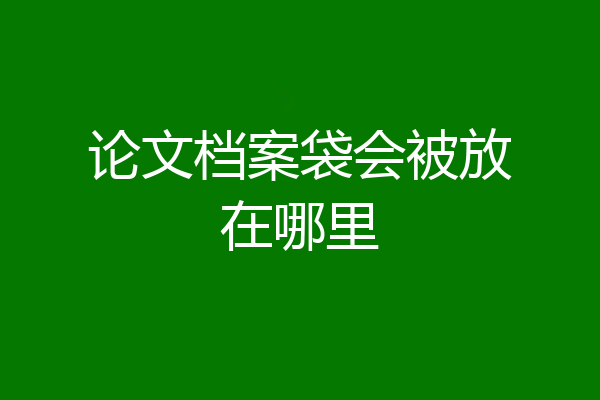 论文档案袋会被放在哪里