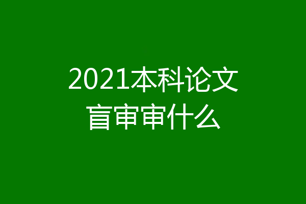 2021本科论文盲审审什么