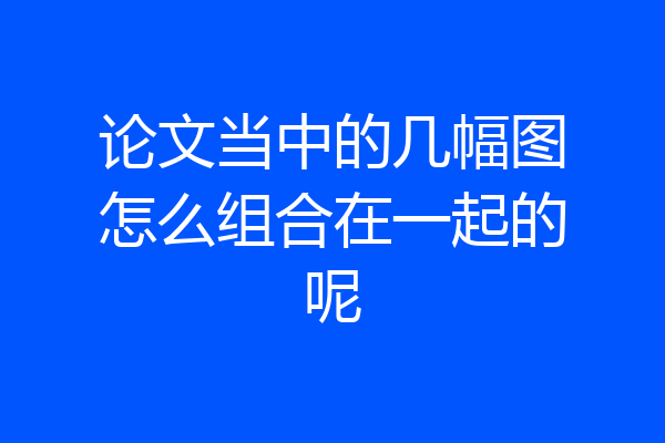 论文当中的几幅图怎么组合在一起的呢