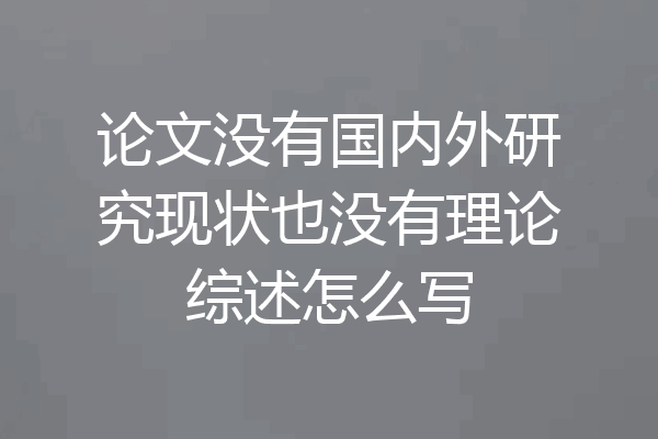 论文没有国内外研究现状也没有理论综述怎么写