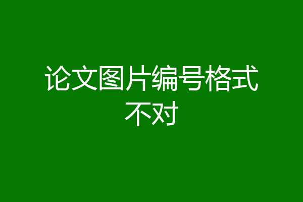 论文图片编号格式不对