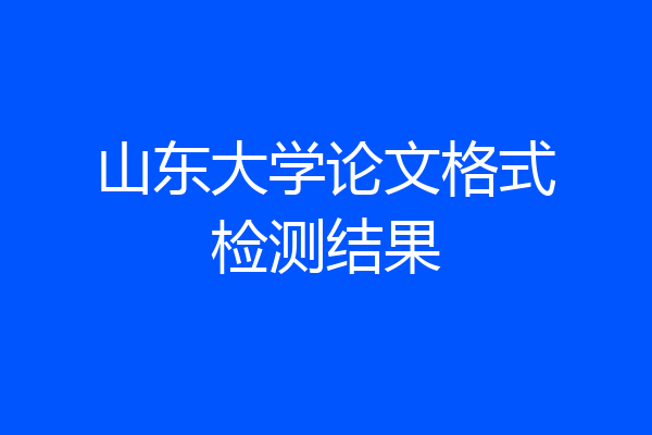 山东大学论文格式检测结果