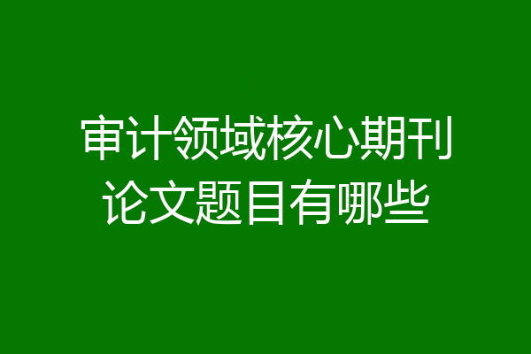 审计领域核心期刊论文题目有哪些