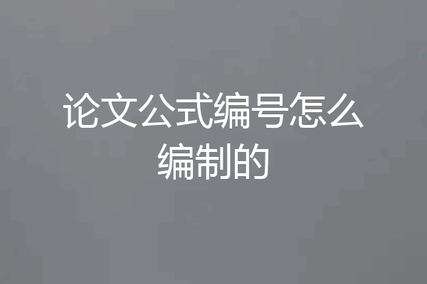 论文公式编号怎么编制的