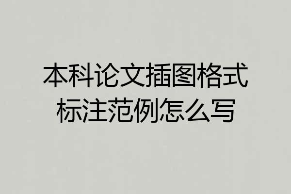 本科论文插图格式标注范例怎么写